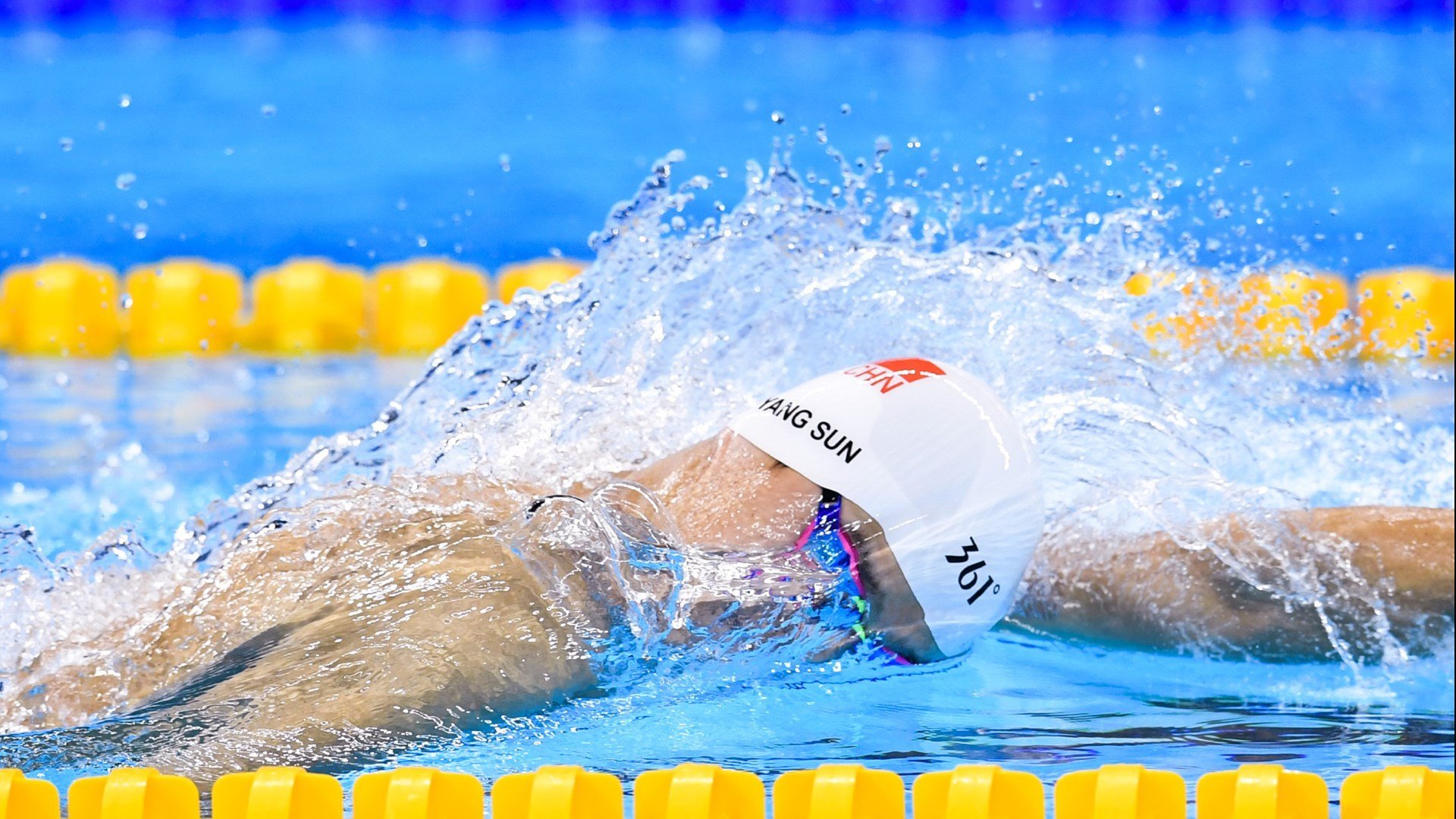 激情与归属,全球球迷文化如何塑造现代体育生态