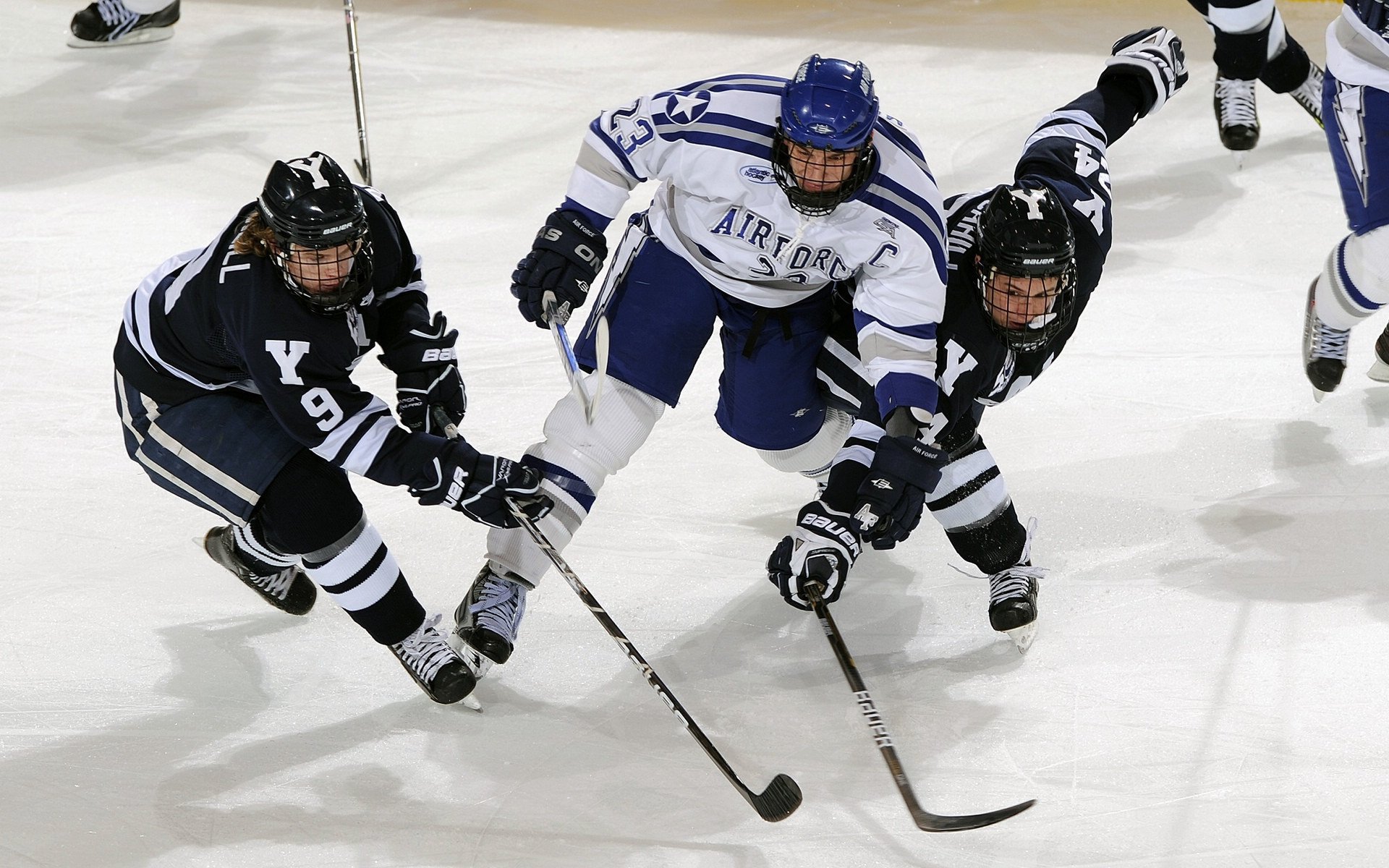 中国花样游泳队巴黎奥运备战进入冲刺阶段,新编排惊艳亮相