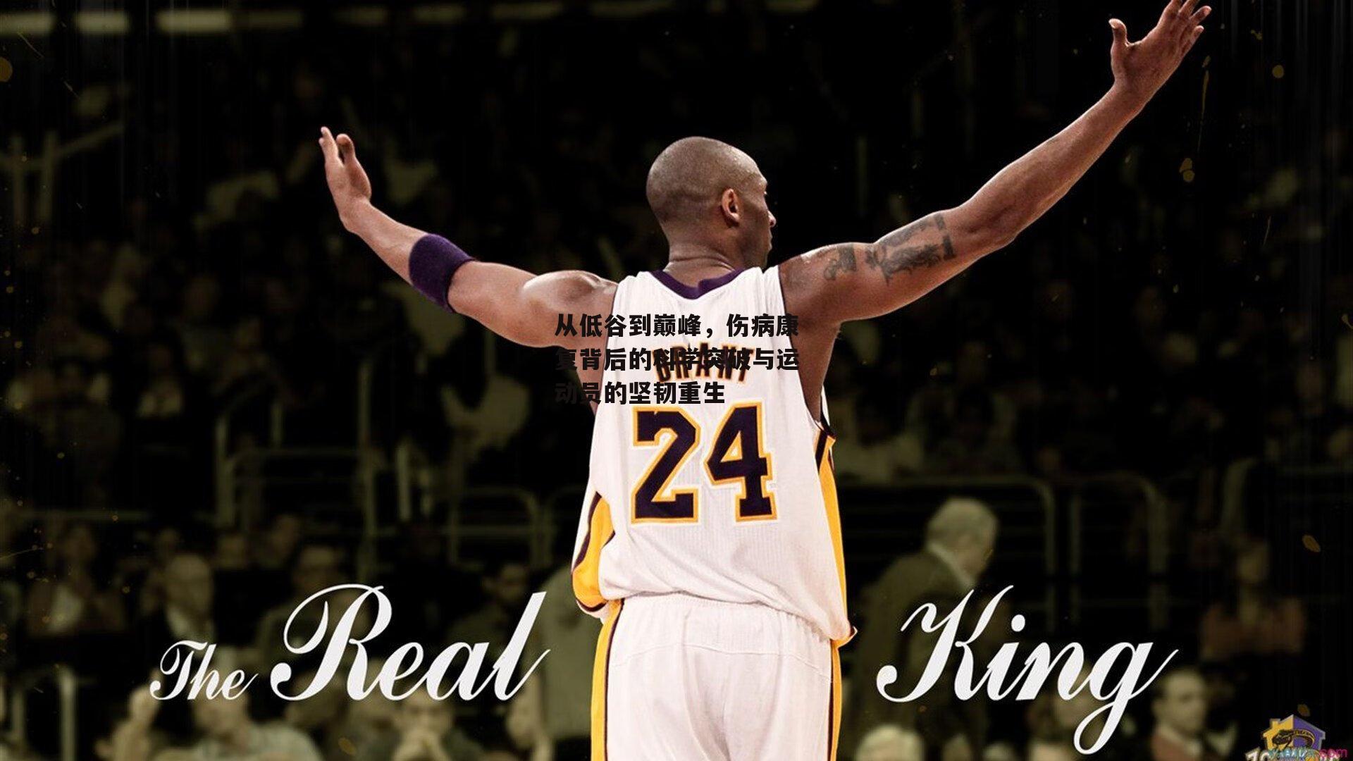 从低谷到巅峰,伤病康复背后的科学突破与运动员的坚韧重生